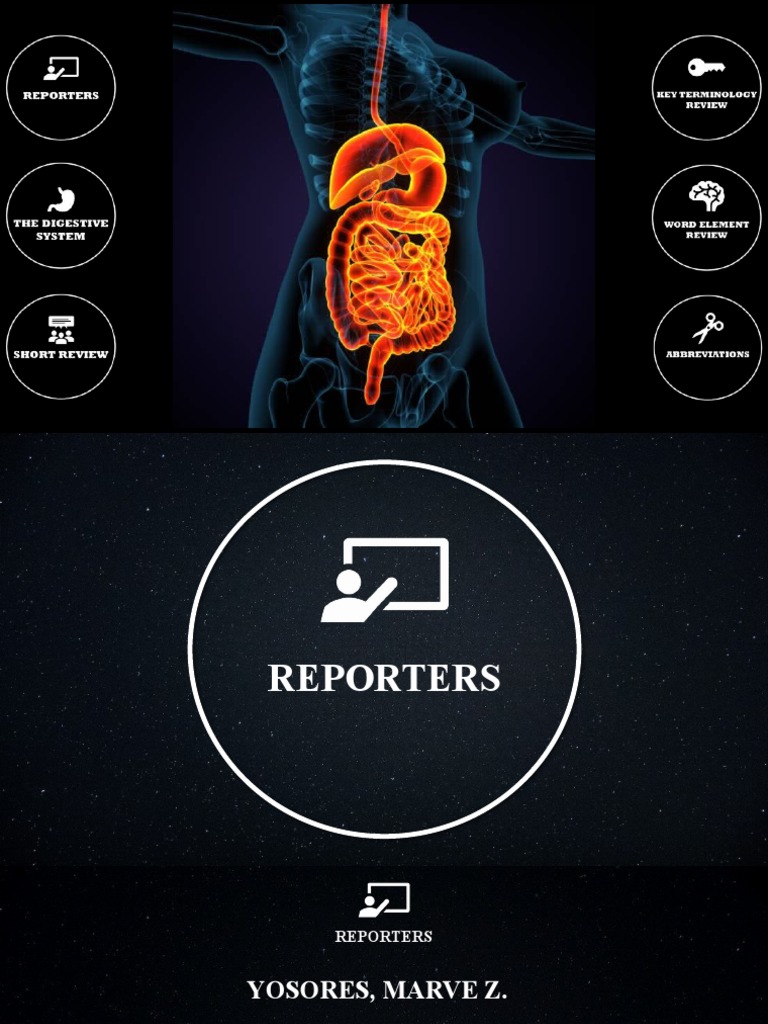 Digestive System | Download Free PDF | Human Digestive System ...