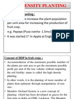 HDP & Rootstock