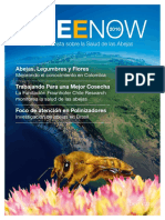 Beenow 2016 ES Latam