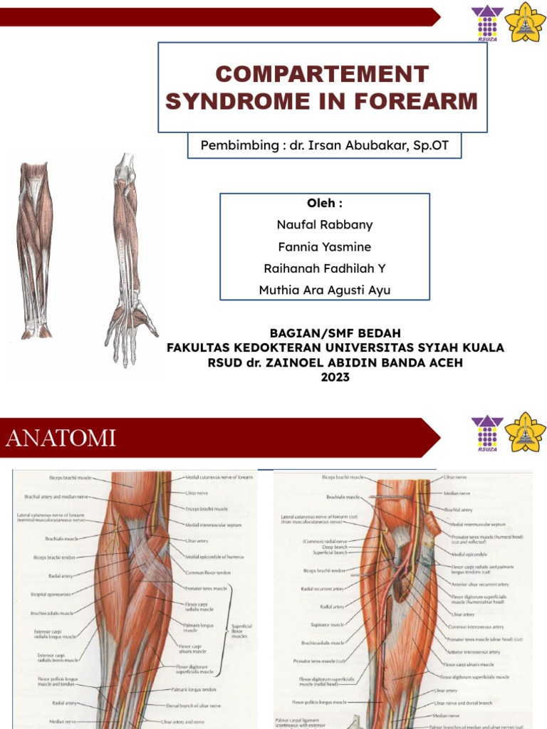 Forearm Compartment Syndrome PDF Injury Clinical Medicine