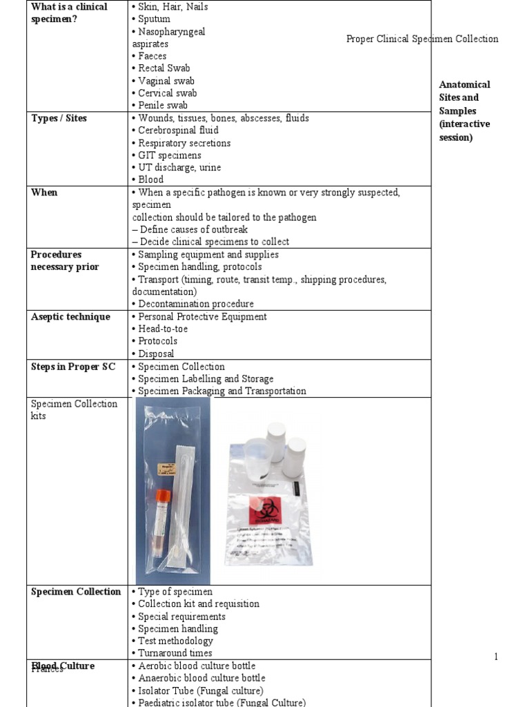 Proper Clinical Specimen Collection PDF Urine Urinary Tract Infection