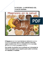 La Importancia Del Magnesio en La Salud Humana - Abramo Di Luca Piccioni