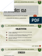 53° Batalhão de Infantira de Selva: Operações de Garantia Da Lei E Da or D E M Operações de Busca E Apreenção