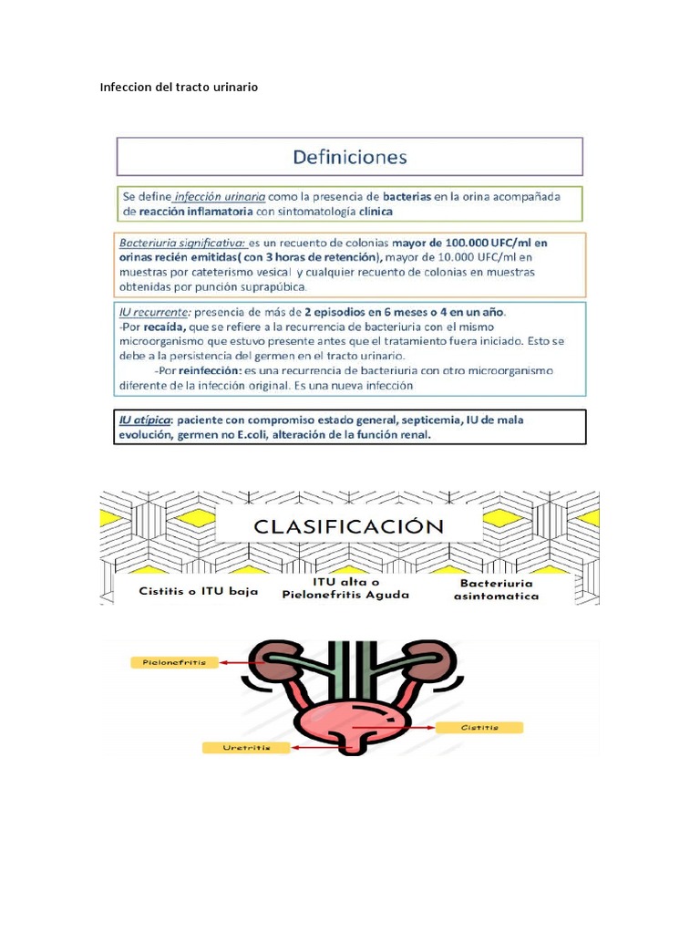 Infeccion Del Tracto Urinario Pdf