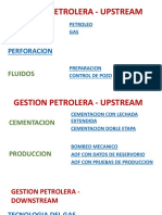 Gestion Petrolera - Perforacion TN - Milla