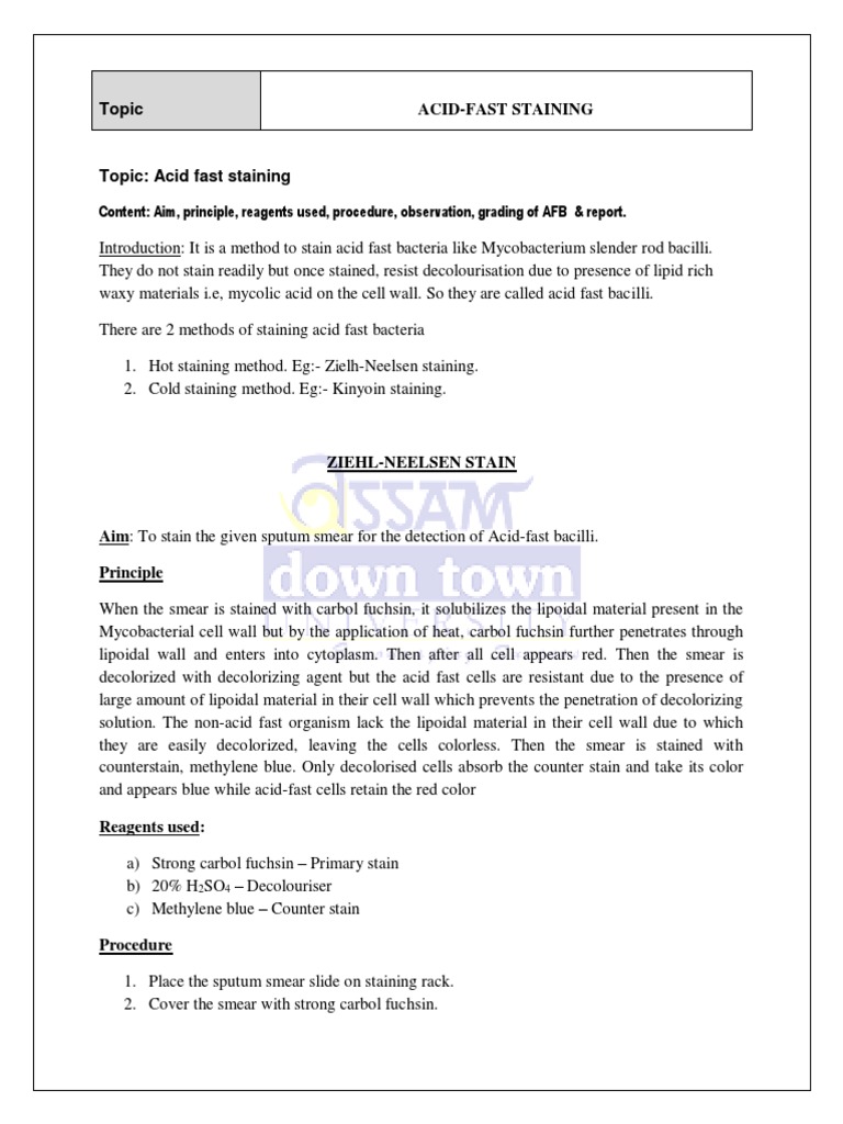 Acid-Fast Staining Procedure and Grading | PDF | Staining | Chemistry