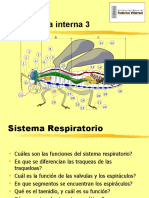 Clase 08 Entomología (Sistemas de Los Insectos 3)