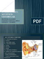 Analizatorul Acustico Vestibular