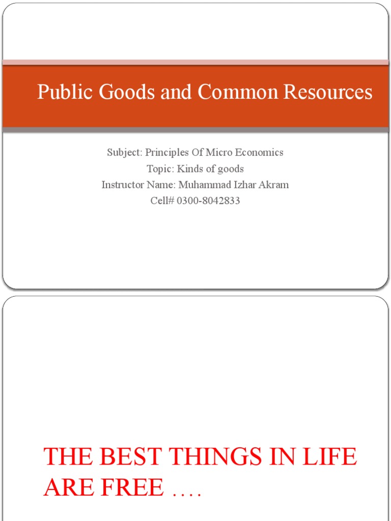 Public Goods And Common Resources Pdf Goods Prices