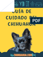 Guia Cuidados Chihuahua