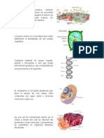 Quimica y Biología 