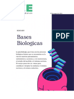 Bases Biologicas