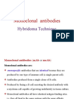 Monoclonal Hybrid Oma