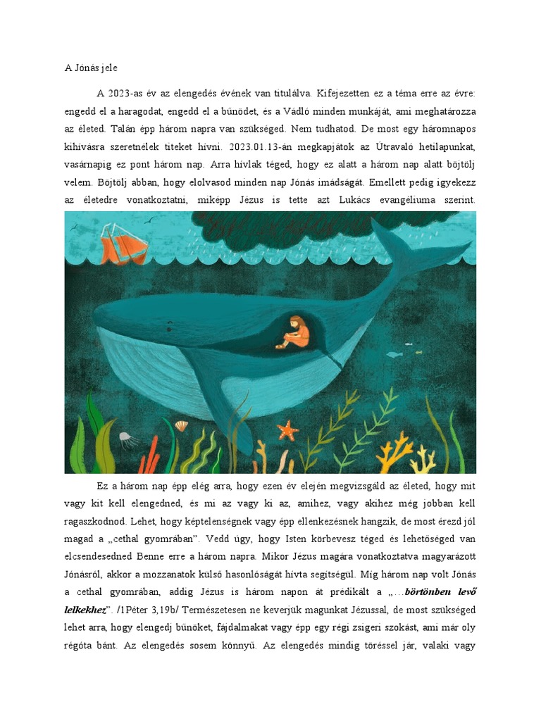 A j n s jele pdf