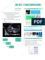 Tamizaje Genetico y Malformaciones