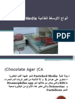 1 - Media Type PDF