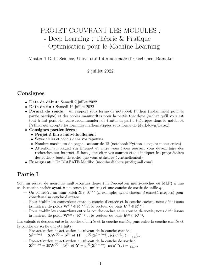 Projet Deep Learning en Python | PDF | Réseau de neurones artificiels ...