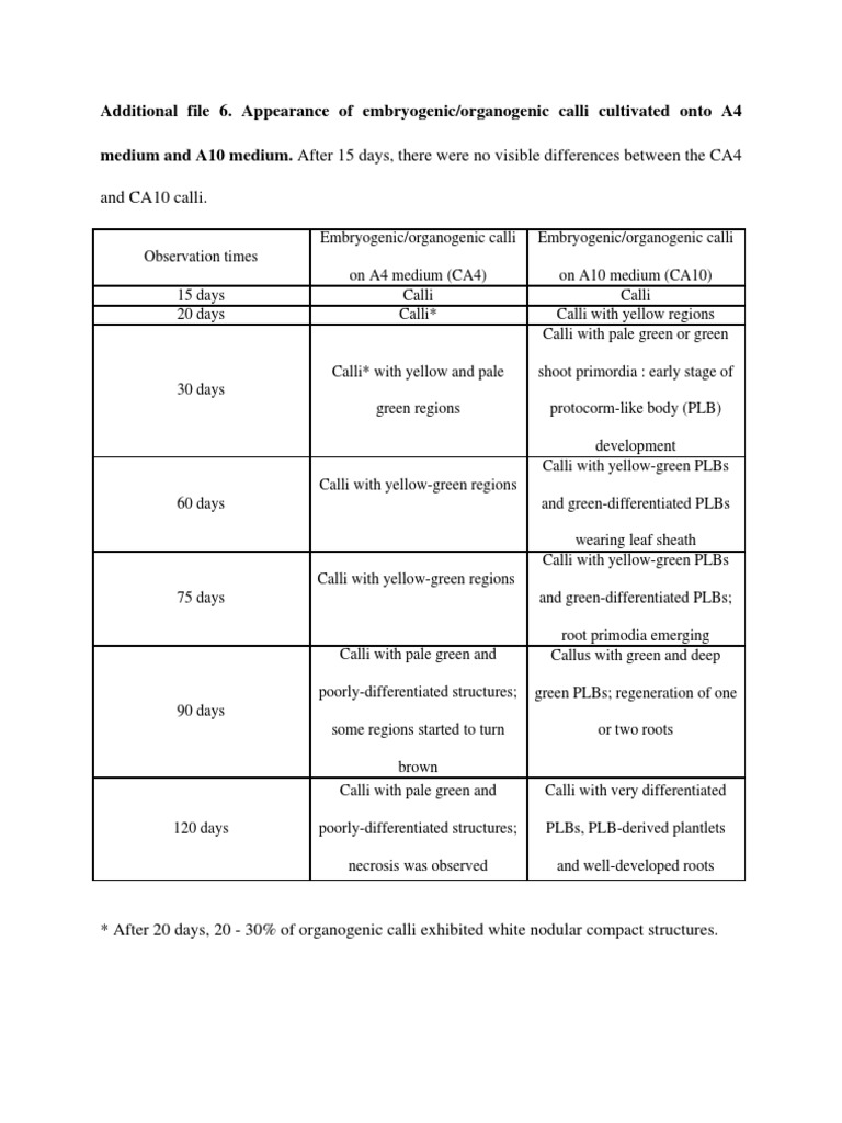 And CA10 Calli | PDF