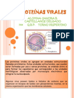 Proteínas virales: estructura, funciones y papel en vacunas