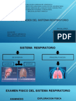 Generalidades Del Sistema Respiratorio