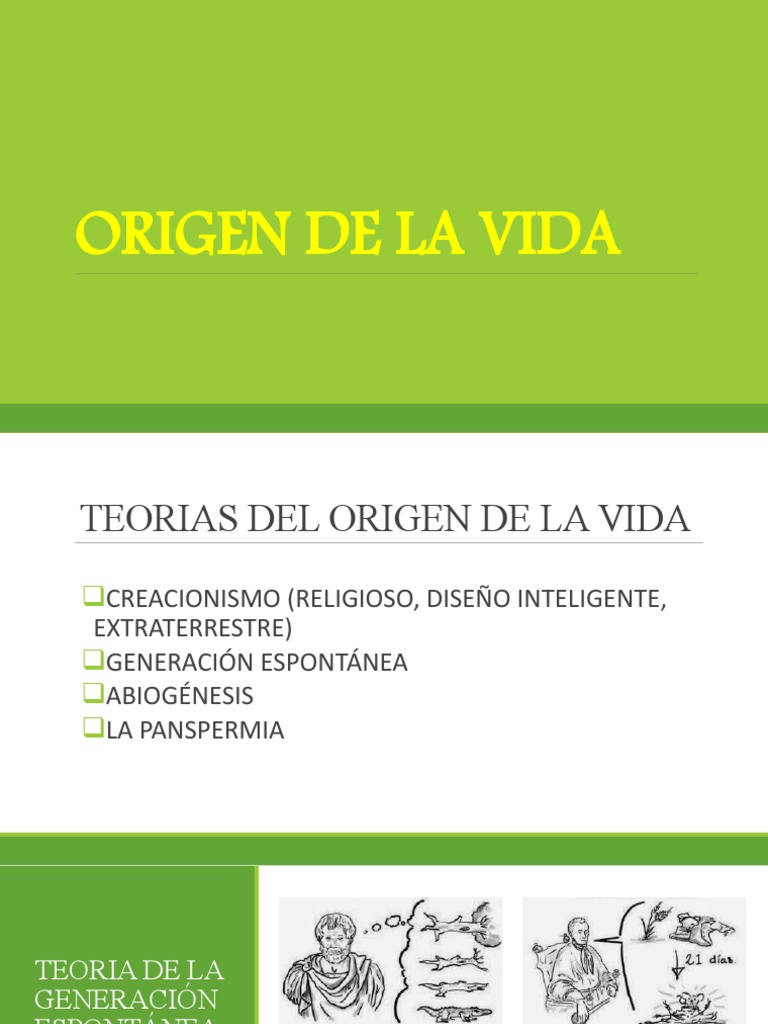 Estadío de Probiontes en el Origen de la Vida | PDF | Plantas | Abiogénesis