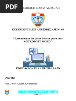 Práctica Básica de Microsoft Word | PDF