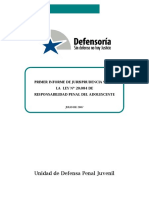 DPP Informe de Jurisprudencia RPA 1-2007