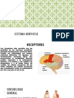 Sistema Nervioso