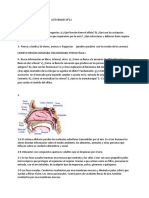 Documento