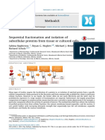 Protein Isolation