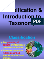 Basictaxonomy