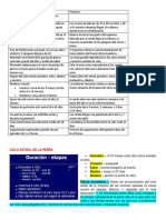 Fisio de La Repro Perras y Cerdas