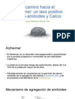 El Camino Hacia El Alzheimer Un Lazo Positivo Entre Β-Amiloides y Calcio