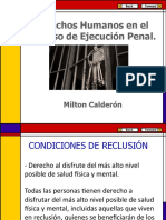 6-Derechos Humanos en El Proceso de Ejecución Penal