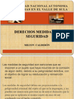 7 - Medidas de Seguridad