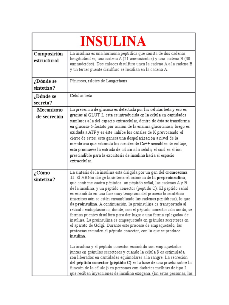 INSULINAa | PDF | Insulina | Receptor (Bioquímica)