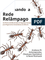 Dominando A Rede Relâmpago