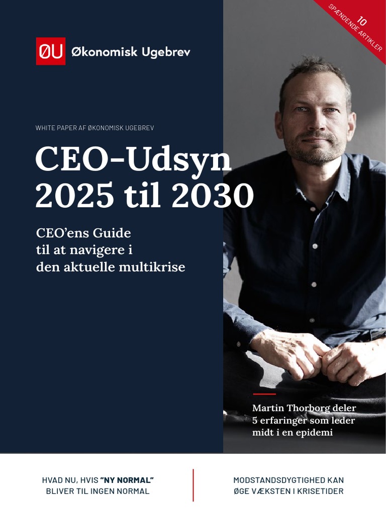 Whitepaper CEO Udsyn 2025 2030 Samlet 1 PDF
