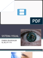 02 Sistema Visual