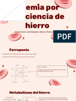 Anemia Por Deficiencia de Hierro