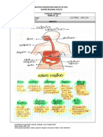 ANEXO 2 (Sistema Digestivo) Angie Rangel