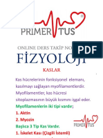 Fi̇zyoloji̇ Kaslar