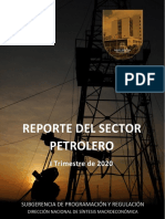 Reporte Sector Petrolero 2020