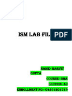 Ism Lab File