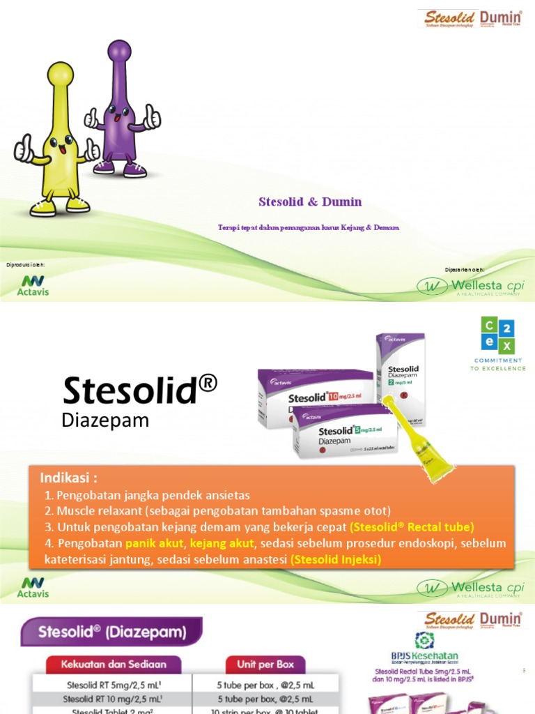 Slide PP Stesolid Dan Dumin 0323 | PDF