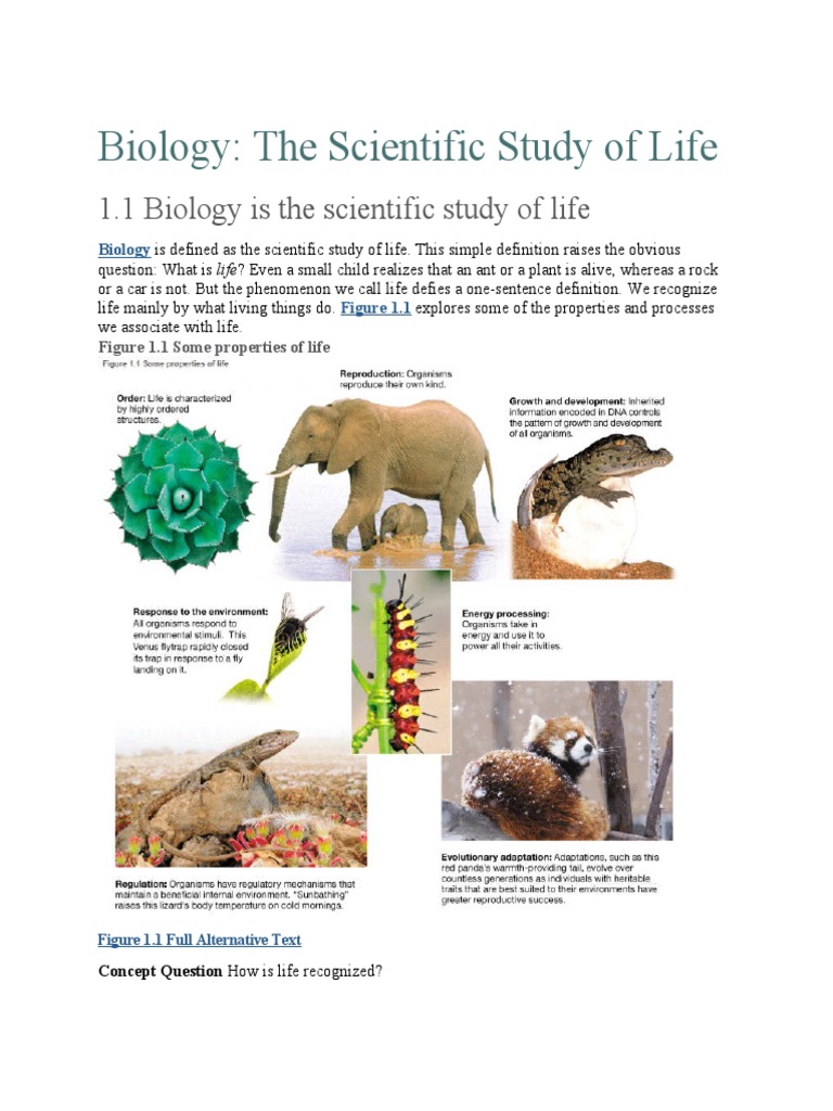 Biology Chapter 1 Pdf Evolution Life