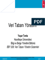 Database Management Turkce