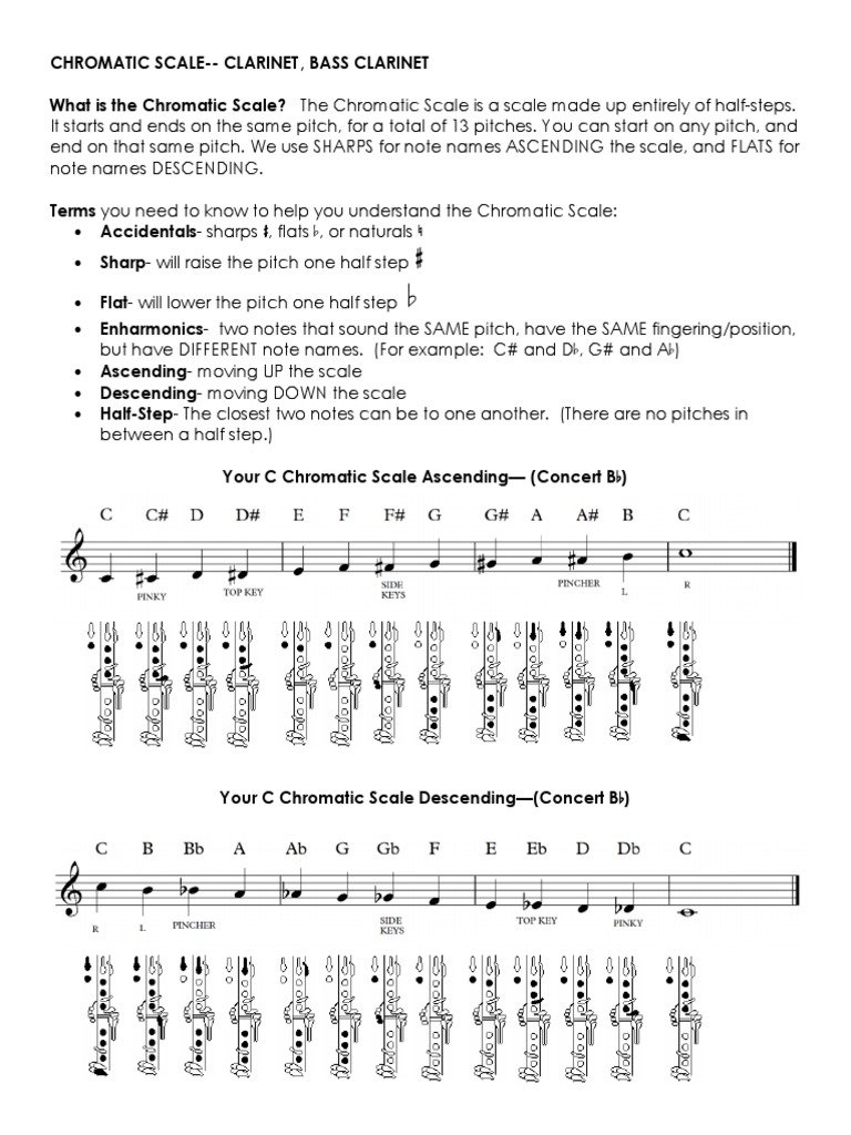 Clarinet and Bass Clarinet Chromatic Scale | PDF