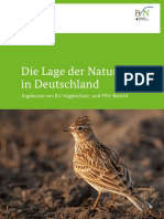 Bericht Lage Natur 2020