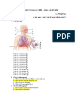 GPSL - ÔN CHƯƠNG 3 - HÔ HẤP